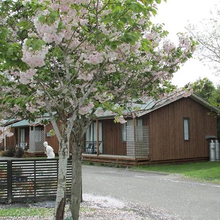 219 On Johns Motel & Holiday Park Christchurch Exterior foto