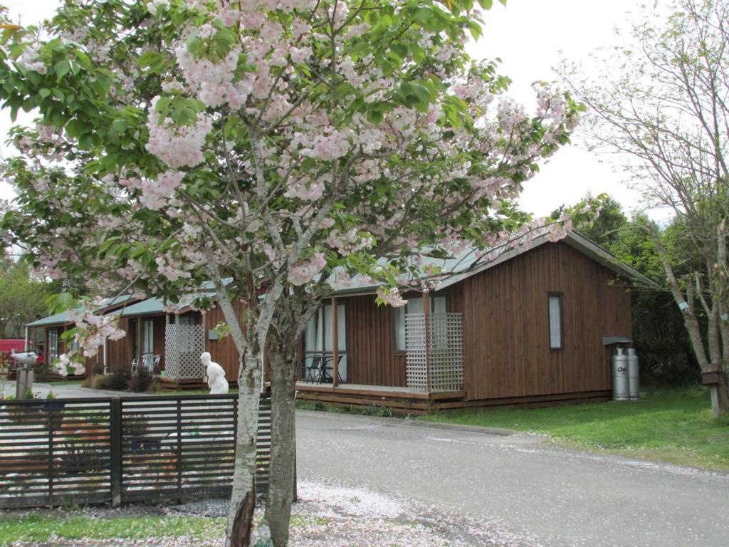 219 On Johns Motel & Holiday Park Christchurch Exterior foto